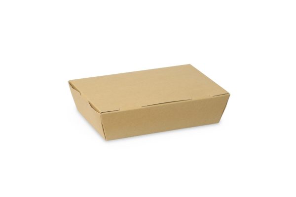 Lunch Box Small Kraft