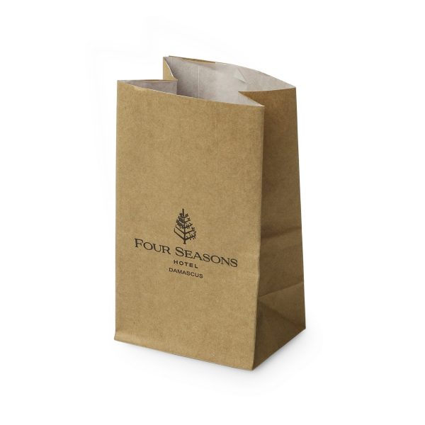 Custom Kraft Paper Bag With Handle X250P - Image 2